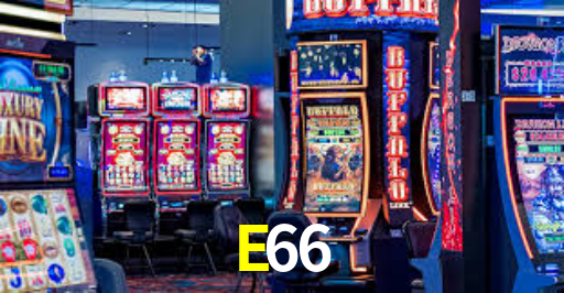 E66