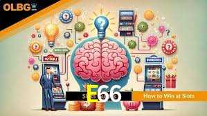 E66,E66.Com